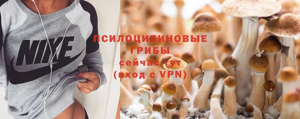 не бодяженный Нефтекумск