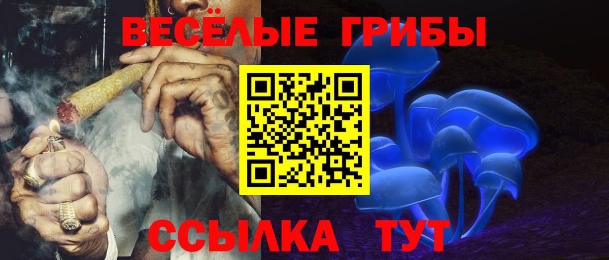 Псилоцибиновые грибы Psilocybe Тула