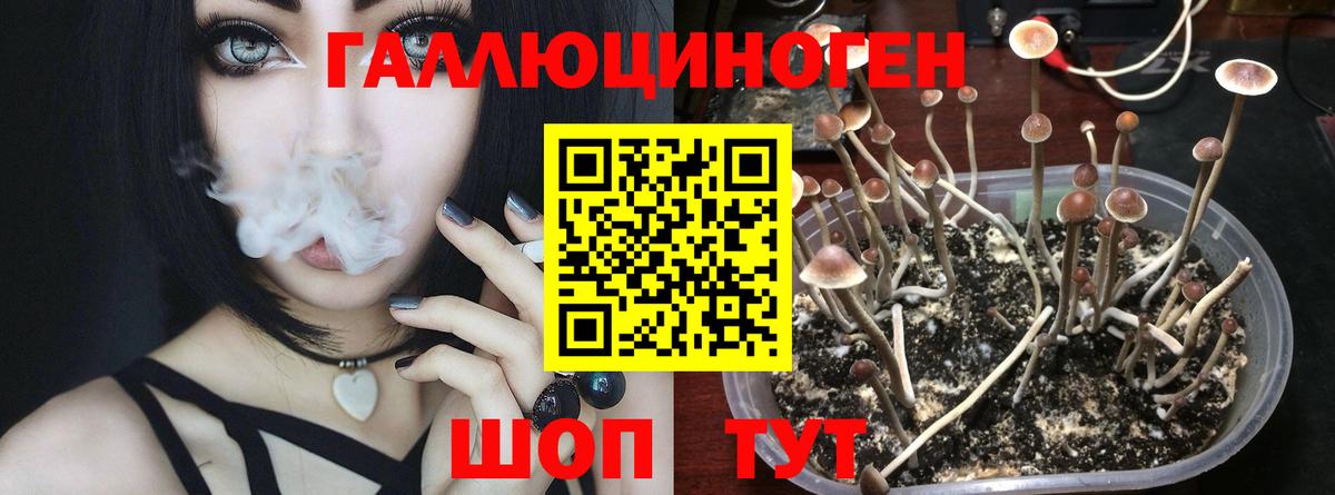 Галлюциногенные грибы Psilocybine cubensis  Вход с VPN  Тула 